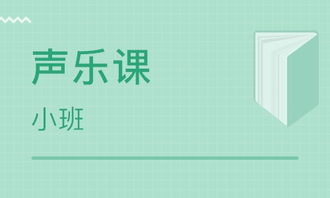 武漢美意之聲怎么樣 美意之聲 課程價格