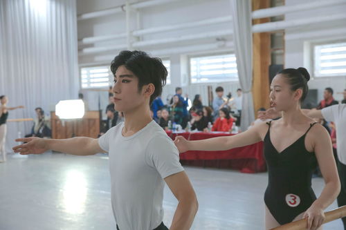 藝文國際 本原藝考2020屆佳績,夢想靠岸