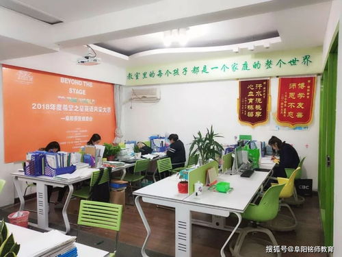 藝考文化課 阜陽銘師教育,成就你的藝考夢