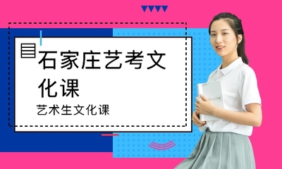 石家莊藝術(shù)生文化課哪家好_哪個好_學(xué)費(fèi)