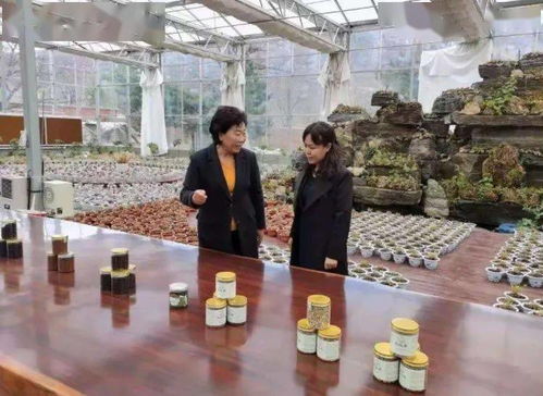 打通最后一公里,門頭溝村 居 兩委 設立就業保障委員