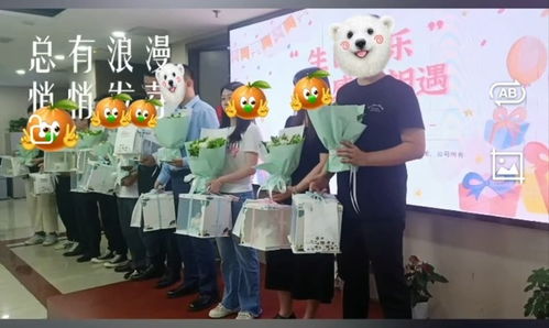 河南玖橡咨詢服務招聘 boss直聘
