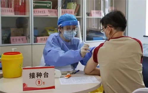 文明網聯盟 上海 徐匯