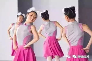 中國少年兒童發展服務中心社會藝術水平舞蹈考級教師新教材培訓 普洱班 2019年5月1日至4日預報名