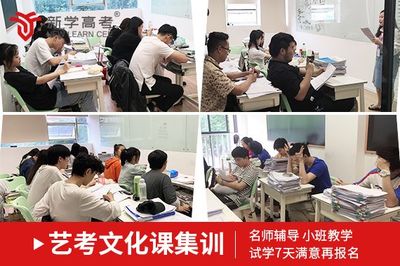 甘孜藝考文化培訓(xùn)就選新學(xué)高考